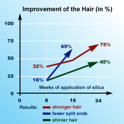 Silica Research: Improvement of the Hair